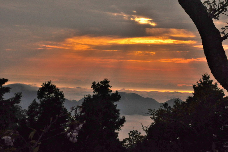 <a href='http://m.foygypl.cn/lvyou/view/224' title='阿里山' style='color:blue;font-size:14px;'>阿里山</a> 日出