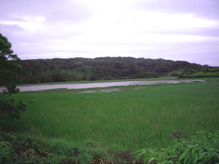 <a href='http://m.foygypl.cn/lvyou/view/235' title='南仁山' style='color:blue;font-size:14px;'>南仁山</a>生態保護區