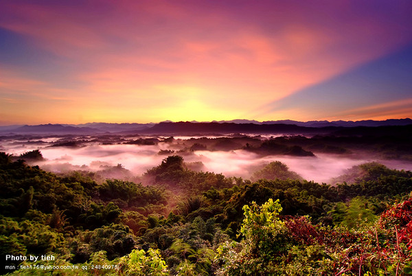 臺灣省臺南縣左營 