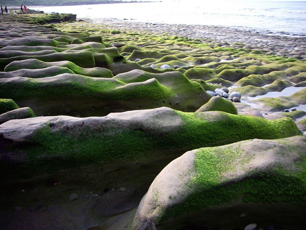 新北富貴角公園