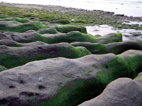 新北富貴角公園