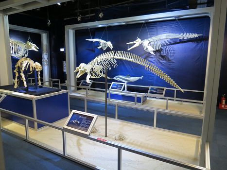 陽(yáng)明海洋文化藝術(shù)館