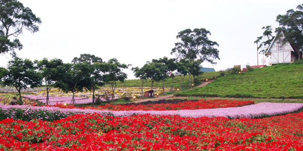 臺灣大溪花海農場