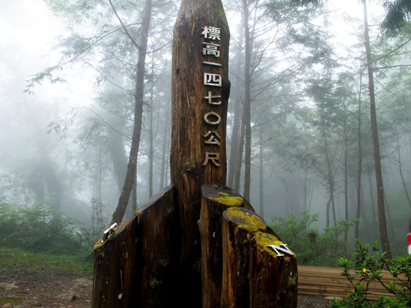 大同鄉棲蘭森林游樂區