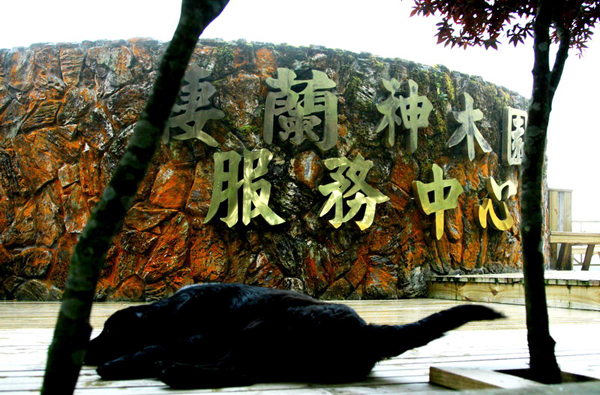 <a href='http://m.foygypl.cn/yilan/2060' title='大同' style='color:blue;font-size:14px;'>大同</a>鄉棲蘭森林游樂區