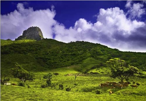 墾丁牧場(chǎng)