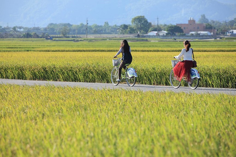 自行車騎行在伯朗大道