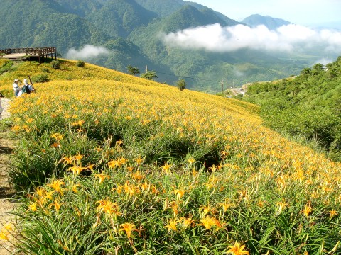 德森有機農(nóng)場