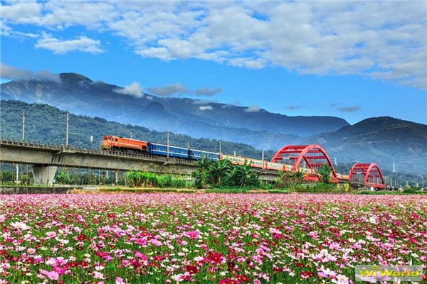 富里鄉(xiāng)農(nóng)會花季