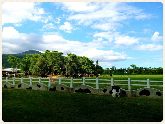 瑞穗牧場