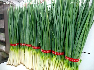 旅游要到三星蔥